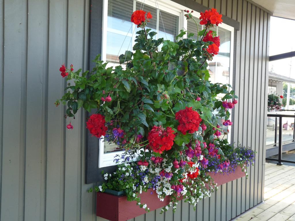 Driftwood By The Sea Inn Campbell River Exterior photo